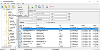 Professional Renamer screenshot 5
