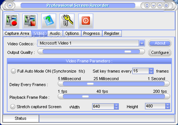 Professional Screen Recorder screenshot 2