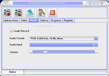 Professional Screen Recorder screenshot 3