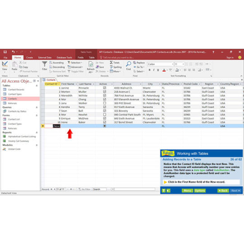 Professor Teaches Access 2016 screenshot 3