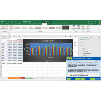 Professor Teaches Excel 2016 screenshot 4