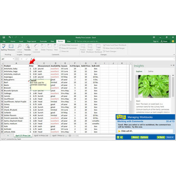 Professor Teaches Excel 2016 screenshot 5