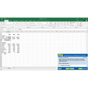 Professor Teaches Excel 2016 screenshot 6