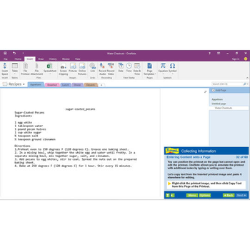 Professor Teaches OneNote 2016 screenshot 3