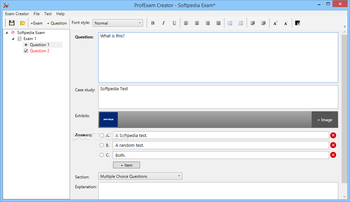 ProfExam Suite screenshot 3