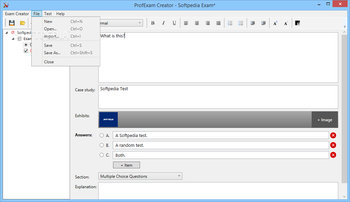 ProfExam Suite screenshot 4