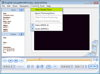 ProgDVB SolveigMM MPEG Editor screenshot 3