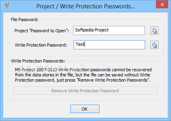 Project Password screenshot 2