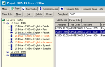 Projetex Project Management Workstation screenshot