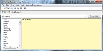 ProLingo English Hindi Talking Dictionary screenshot