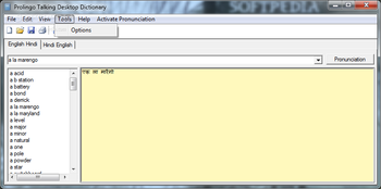 ProLingo English Hindi Talking Dictionary screenshot 3