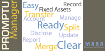 Promptu Fixed Assets Manager screenshot