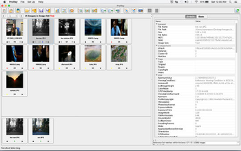 ProRey screenshot 2