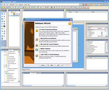 Protara Standard Edition screenshot 2