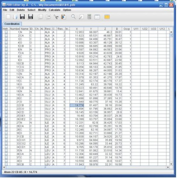 Protein Data Bank Editor screenshot 14
