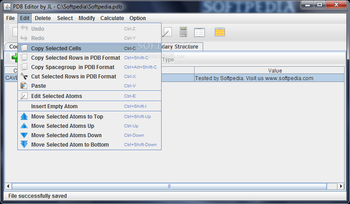 Protein Data Bank Editor screenshot 3
