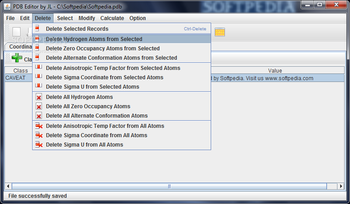 Protein Data Bank Editor screenshot 4