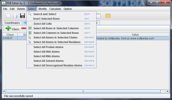 Protein Data Bank Editor screenshot 5