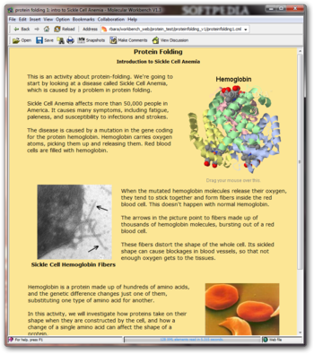 Protein Folding screenshot