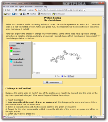 Protein Folding screenshot 2