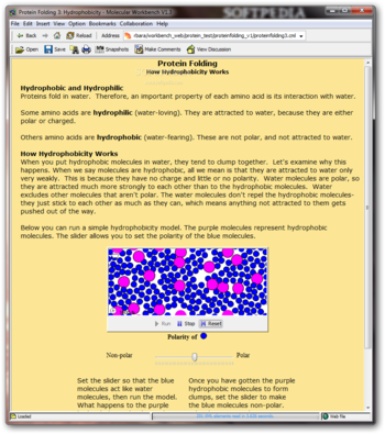 Protein Folding screenshot 3