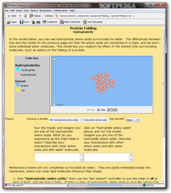 Protein Folding screenshot 4