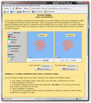 Protein Folding screenshot 5