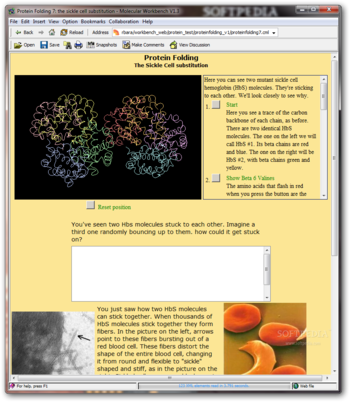 Protein Folding screenshot 7