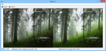 PSNR screenshot