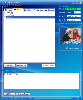 PSP Media Server screenshot 2