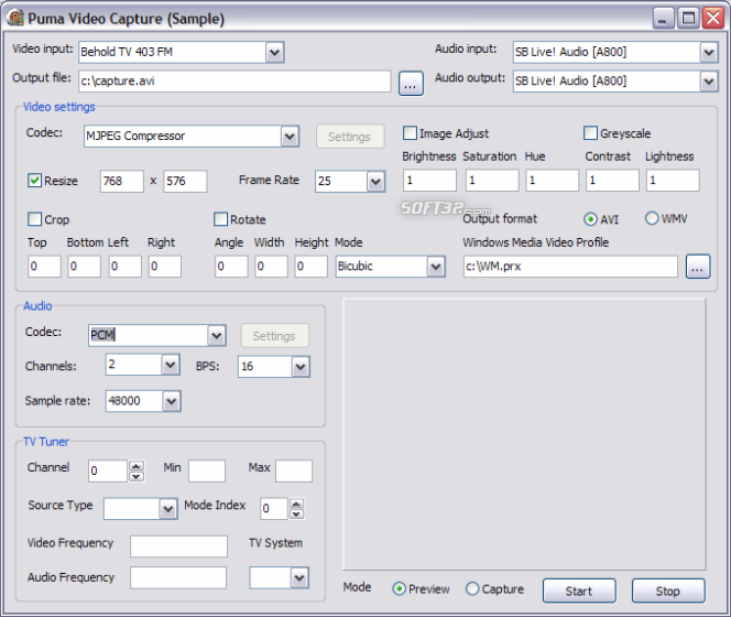 puma video capture delphi control