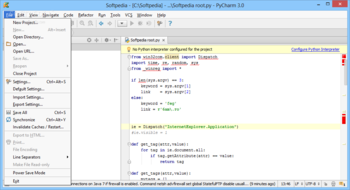 PyCharm Professional screenshot 2