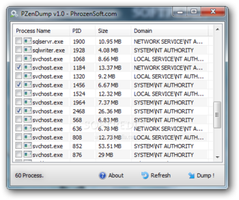 PZenDump screenshot