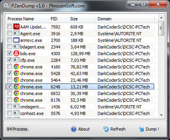 PZenDump screenshot