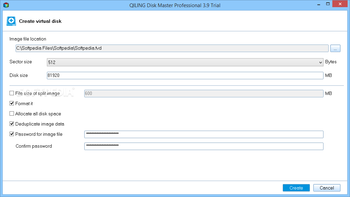 QILING Disk Master Professional screenshot 2