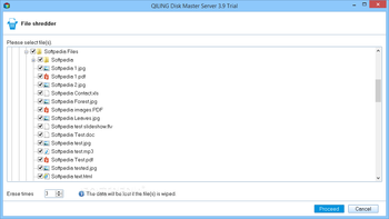 QILING Disk Master Server screenshot 21