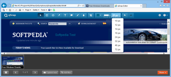 qSnap for IE screenshot 3