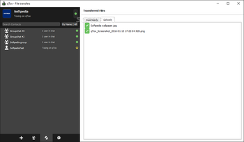 qTox screenshot 6