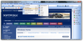 QtWeb screenshot 6