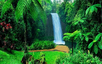 Queensland Waterfall screenshot