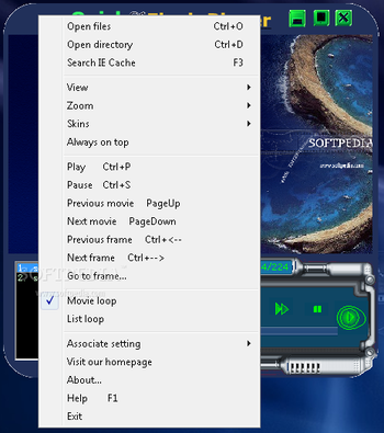 Quick Flash Player screenshot 2