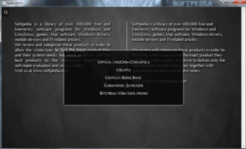Qute screenshot 3