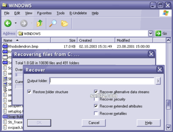 R-UNDELETE File Recovery screenshot 2