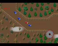 Race Cars screenshot 3