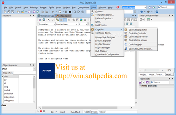 RAD Studio screenshot 11