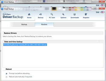 RadarSync DriverBackup 2012 screenshot 5