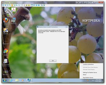 Radmin Remote Control screenshot 8
