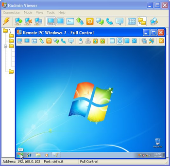 Radmin Server and Viewer screenshot