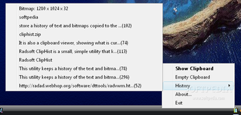 Radsoft ClipHist screenshot