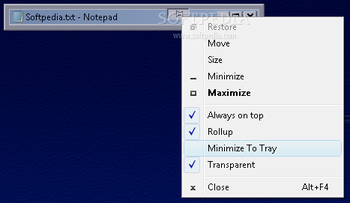 Radsoft Window Manager screenshot